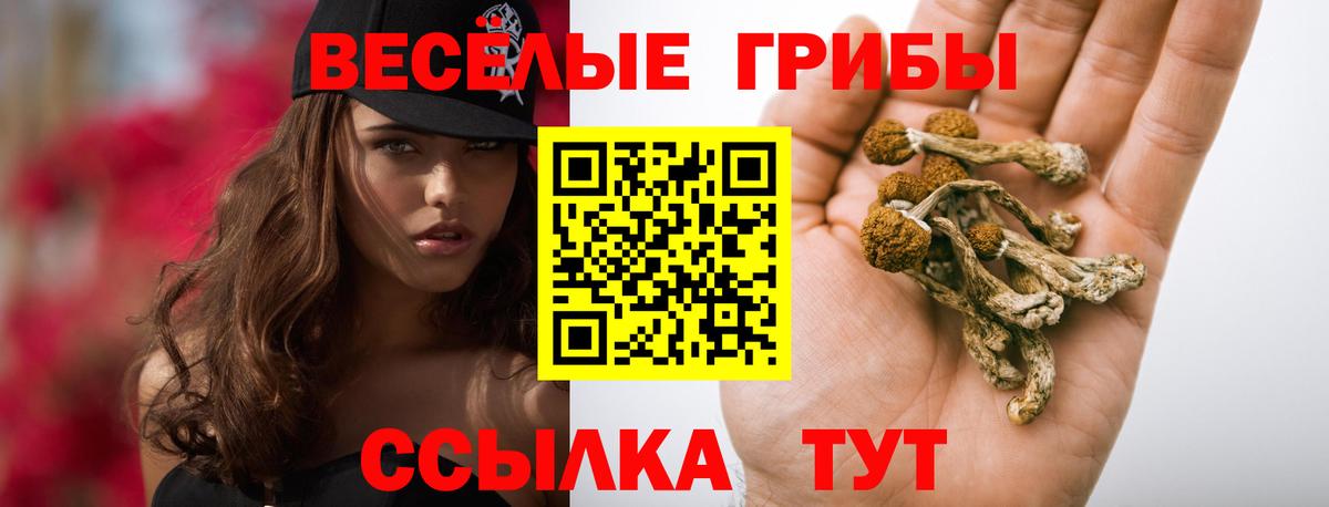 Галлюциногенные грибы MAGIC MUSHROOMS  Вход с VPN  Ялта 